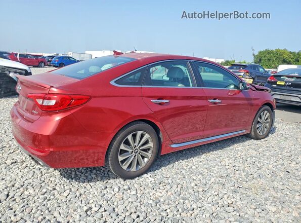 5NPE34AF0GH348482 2016 HYUNDAI SONATA Burgundy Задня права чверть