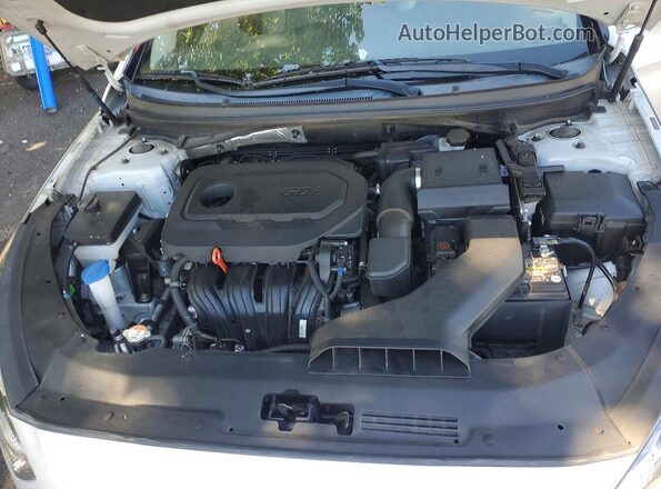 5NPE34AF0KH816445 2019 HYUNDAI SONATA White Սալոնի հետևի տեսք