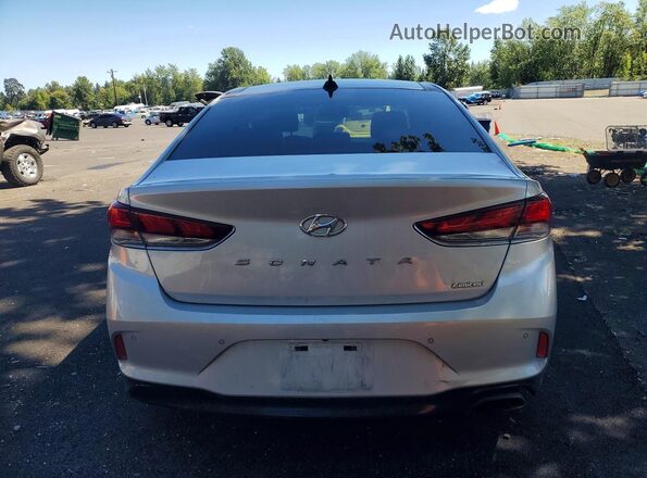 5NPE34AF0KH816445 2019 HYUNDAI SONATA White Հետևի տեսք
