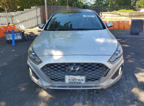 5NPE34AF0KH816445 2019 HYUNDAI SONATA White VIN կոդի պիտակի տեսք