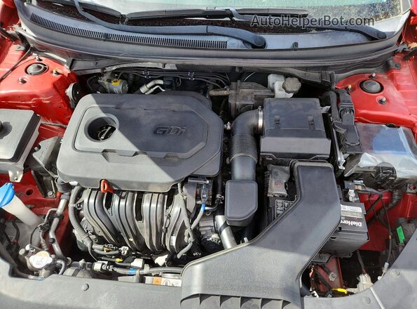 5NPE34AF0KH821600 2019 HYUNDAI SONATA Burgundy Սալոնի հետևի տեսք
