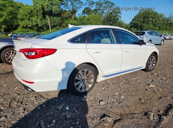 5NPE34AF1GH354937 2016 HYUNDAI SONATA White Tył prawy
