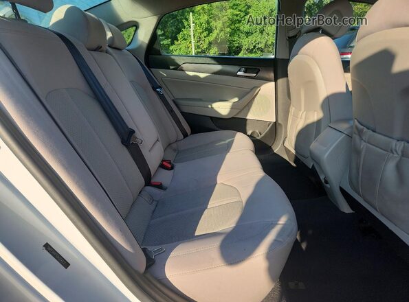 5NPE34AF1GH354937 2016 HYUNDAI SONATA White Widok tylnych siedzeń