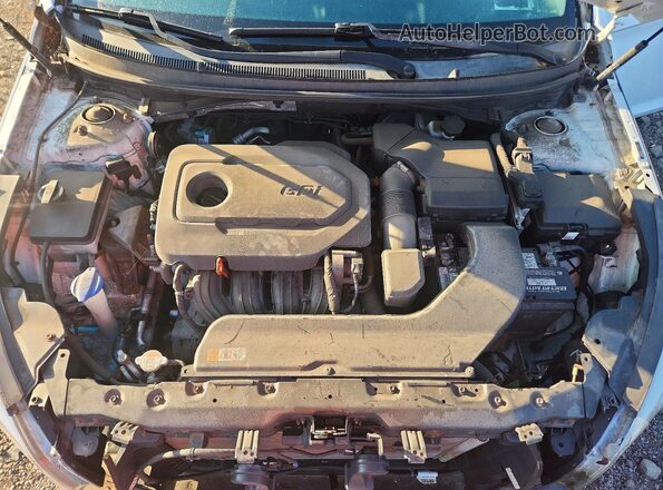 5NPE34AF1GH354937 2016 HYUNDAI SONATA White Widok wnętrza z tyłu