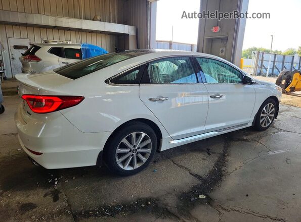 5NPE34AF1GH356008 2016 HYUNDAI SONATA White Trasero derecho