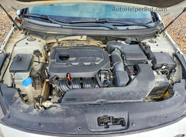 5NPE34AF1GH432102 2016 HYUNDAI SONATA White Սալոնի հետևի տեսք