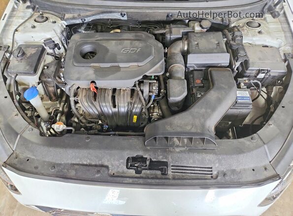 5NPE34AF1JH603096 2018 HYUNDAI SONATA White Widok wnętrza z tyłu
