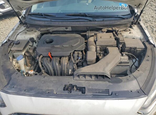 5NPE34AF1JH650080 2018 HYUNDAI SONATA White Սալոնի հետևի տեսք