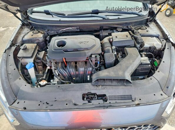 5NPE34AF1KH788574 2019 HYUNDAI SONATA Серый Вид задней части салона