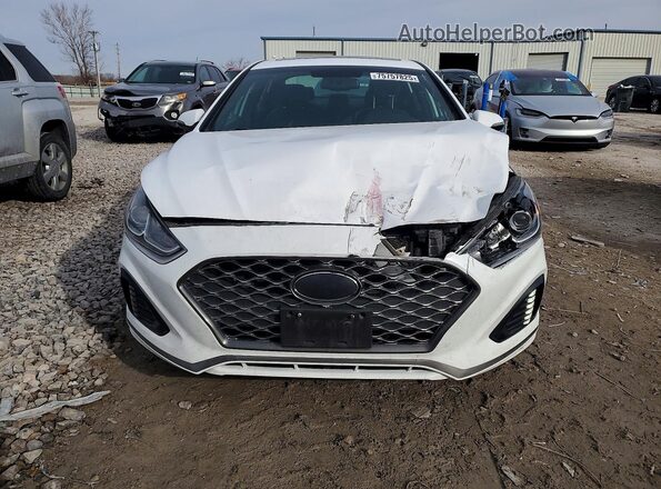 5NPE34AF1KH817717 2019 HYUNDAI SONATA Белый Вид спереди