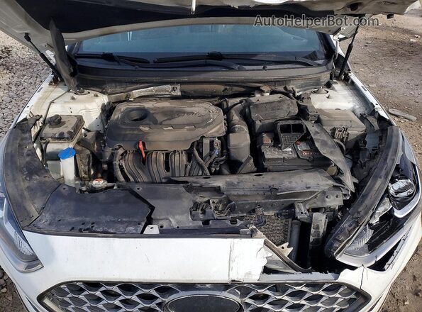 5NPE34AF1KH817717 2019 HYUNDAI SONATA Белый Вид задней части салона