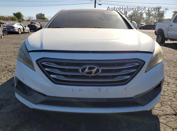 5NPE34AF2GH280072 2016 HYUNDAI SONATA White Vista frontal