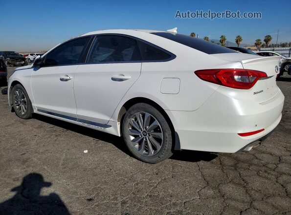 5NPE34AF2GH280072 2016 HYUNDAI SONATA White Trasero izquierdo