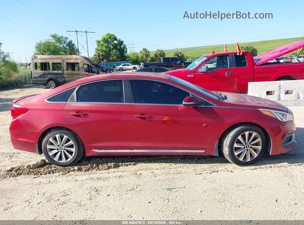 5NPE34AF2GH316486 2016 HYUNDAI SONATA Red უკანა სალონის ხედი