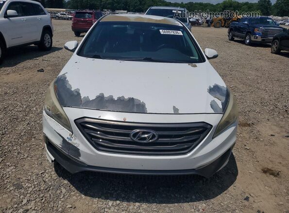 5NPE34AF2GH319744 2016 HYUNDAI SONATA White Front view