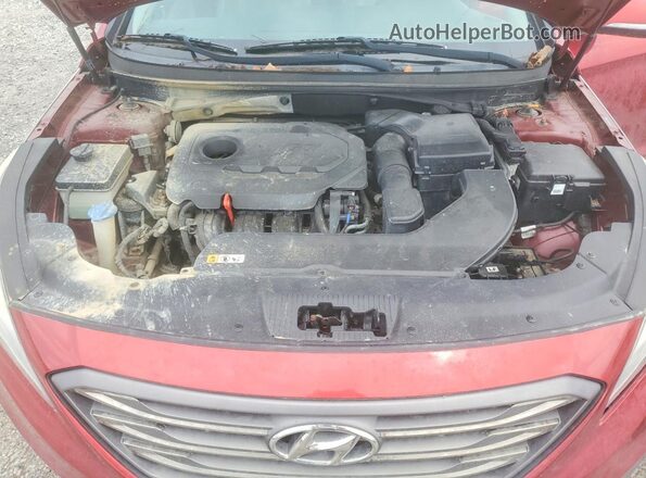 5NPE34AF2GH350198 2016 HYUNDAI SONATA Красный Вид задней части салона