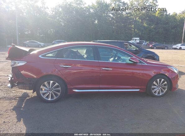 5NPE34AF2GH401666 2016 HYUNDAI SONATA Красный Вид задней части салона