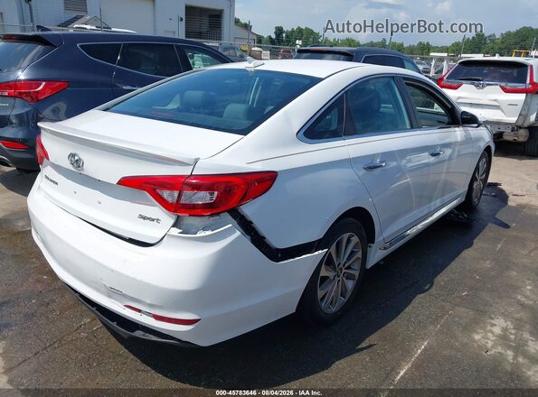 5NPE34AF2GH427653 2016 HYUNDAI SONATA Белый Задняя правая четверть