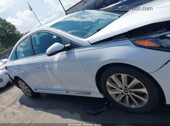 5NPE34AF2GH427653 2016 HYUNDAI SONATA Белый Вид задней части салона