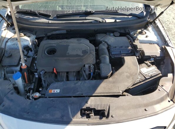 5NPE34AF2HH499485 2017 HYUNDAI SONATA White Widok wnętrza z tyłu