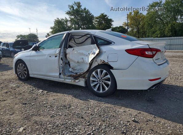 5NPE34AF2HH584469 2017 HYUNDAI SONATA White Задня ліва чверть