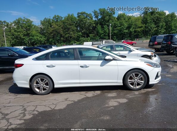5NPE34AF2JH601616 2018 HYUNDAI SONATA White Սալոնի հետևի տեսք