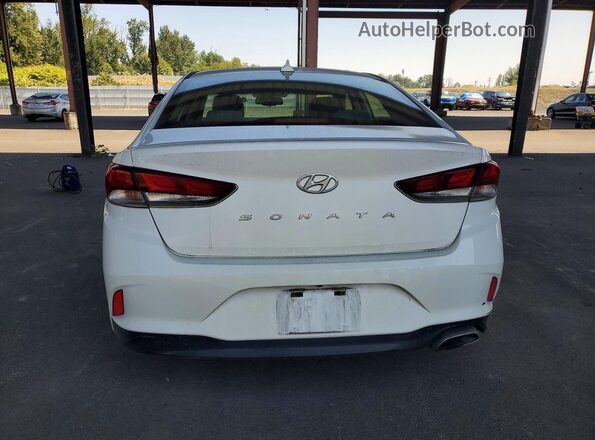 5NPE34AF2JH606413 2018 HYUNDAI SONATA White Rear view