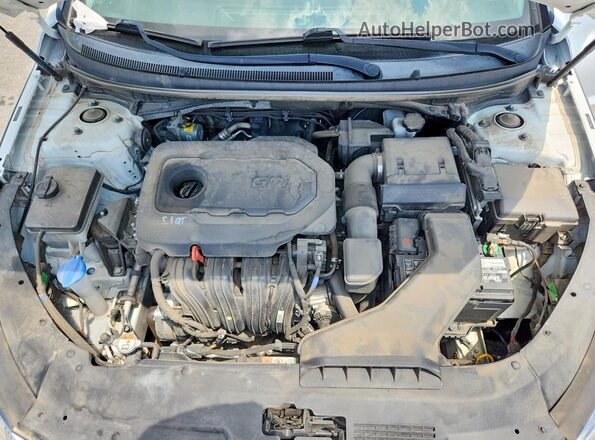 5NPE34AF2KH820710 2019 HYUNDAI SONATA White Widok wnętrza z tyłu