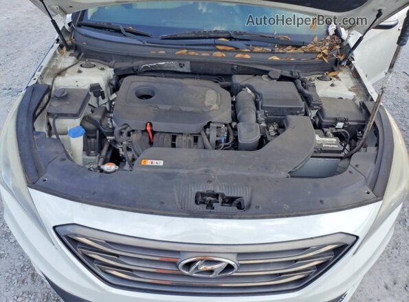 5NPE34AF3GH366880 2016 HYUNDAI SONATA White Вид задньої частини салону
