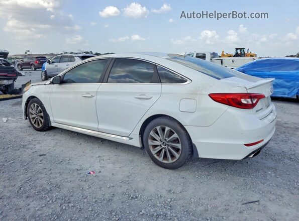 5NPE34AF3GH366880 2016 HYUNDAI SONATA White Задня ліва чверть