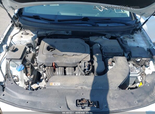 5NPE34AF3GH369326 2016 HYUNDAI SONATA White უკანა ხედი