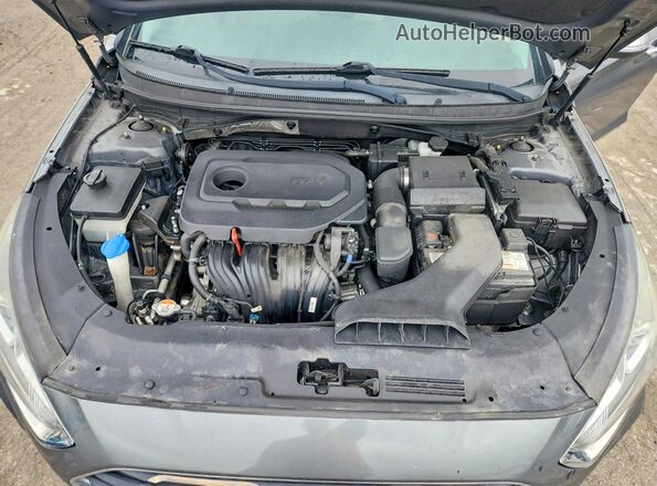 5NPE34AF3JH635600 2018 HYUNDAI SONATA Gray Вид задньої частини салону
