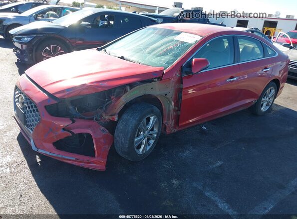 5NPE34AF3KH784011 2019 HYUNDAI SONATA Красный Вид спереди