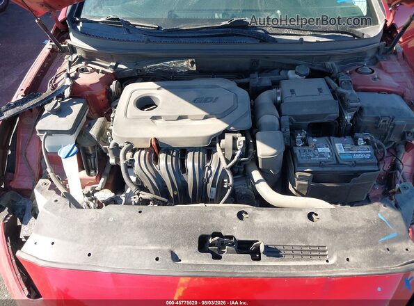 5NPE34AF3KH784011 2019 HYUNDAI SONATA Красный Вид сзади
