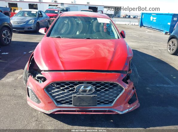 5NPE34AF3KH784011 2019 HYUNDAI SONATA Красный Вид задней части салона