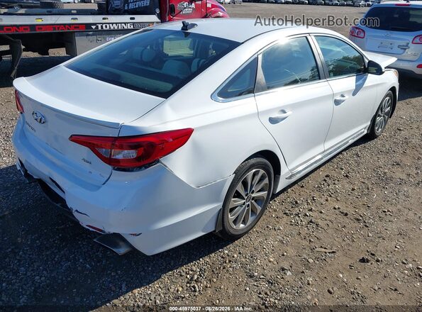 5NPE34AF4GH287539 2016 HYUNDAI SONATA White უკანა მარჯვენა
