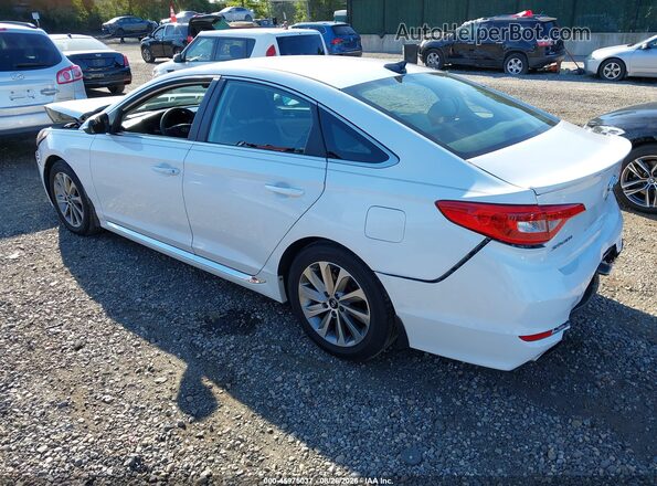 5NPE34AF4GH287539 2016 HYUNDAI SONATA White უკანა მარცხენა