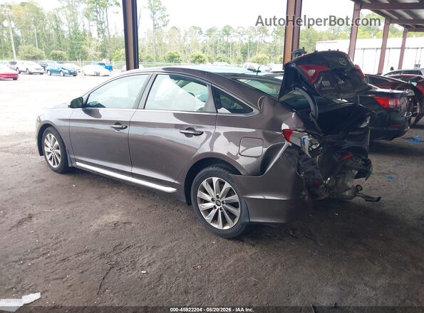 5NPE34AF4GH392047 2016 HYUNDAI SONATA Dark Brown Задняя левая четверть