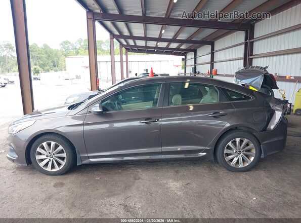 5NPE34AF4GH392047 2016 HYUNDAI SONATA Dark Brown Панорамный вид салона 360°