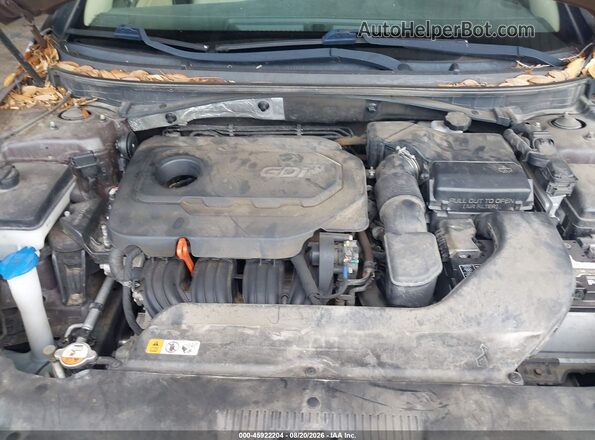 5NPE34AF4GH392047 2016 HYUNDAI SONATA Dark Brown Вид сзади