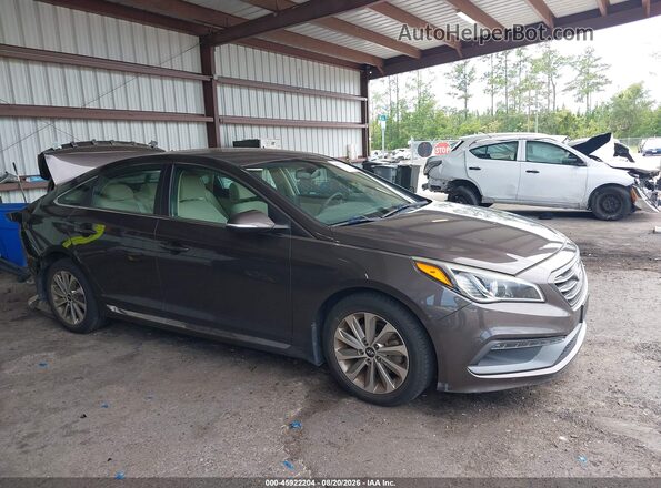 5NPE34AF4GH392047 2016 HYUNDAI SONATA Dark Brown Вид задней части салона