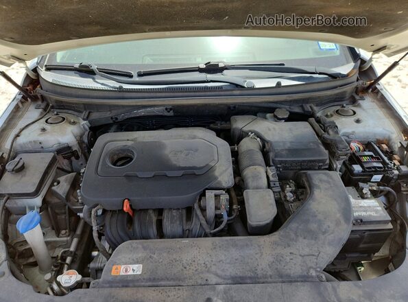 5NPE34AF4HH499987 2017 HYUNDAI SONATA Silver Սալոնի հետևի տեսք