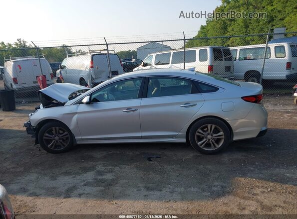 5NPE34AF4JH632141 2018 HYUNDAI SONATA Silver Սալոնի հետևի տեսք