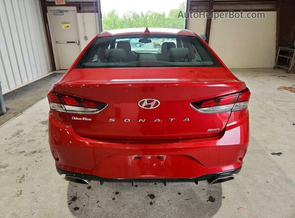 5NPE34AF4KH761417 2019 HYUNDAI SONATA Red Widok z tyłu