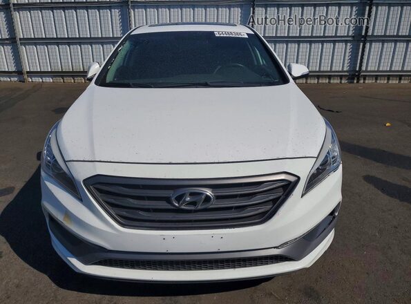 5NPE34AF5GH408742 2016 HYUNDAI SONATA White Front view