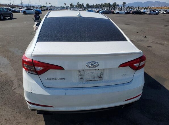 5NPE34AF5GH408742 2016 HYUNDAI SONATA White Rear view