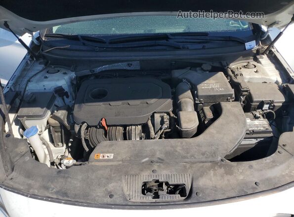 5NPE34AF5GH408742 2016 HYUNDAI SONATA White Rear interior view