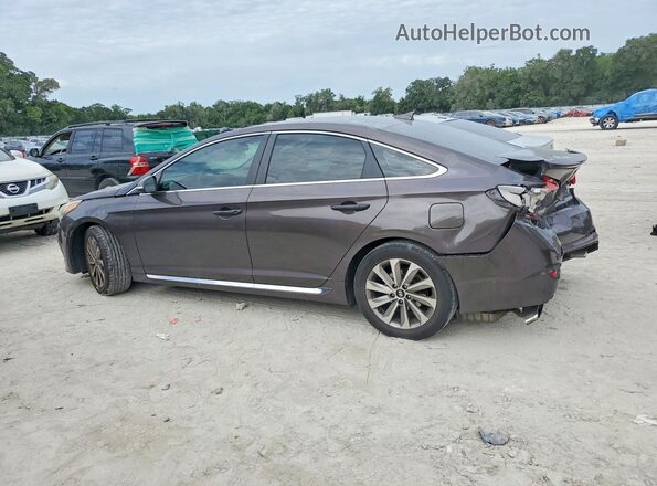 5NPE34AF5HH480512 2017 HYUNDAI SONATA Gray Задня ліва чверть