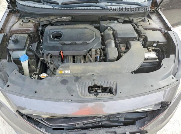 5NPE34AF5HH480512 2017 HYUNDAI SONATA Gray Вид задньої частини салону