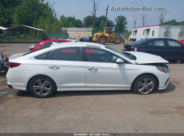 5NPE34AF5JH619916 2018 HYUNDAI SONATA White Սալոնի հետևի տեսք